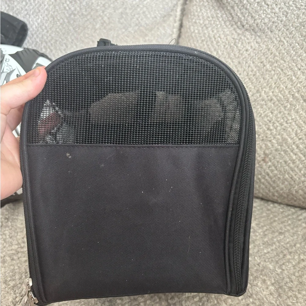 Black Mesh dog carrier
